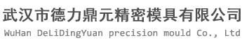 武漢市德力鼎元精密模具有限公司